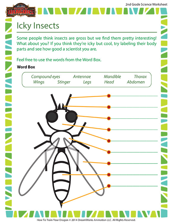 Icky Insects Worksheet 2nd Grade Life Science School Of Dragons