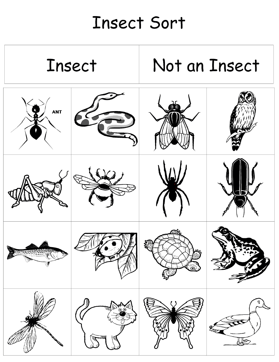 Insect Sort pdf Google Drive Insects Kindergarten Insects