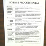 Janacek s News Science Quiz Tuesday September 18th Study