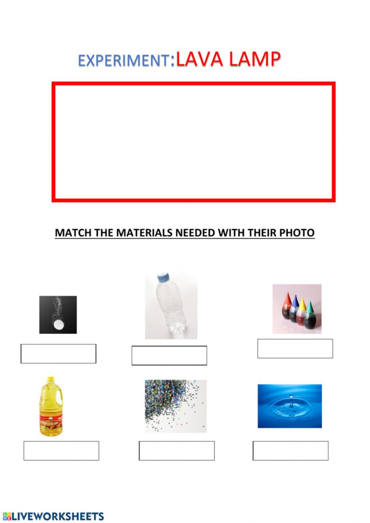 Lava Lamp Experiment Interactive Worksheet