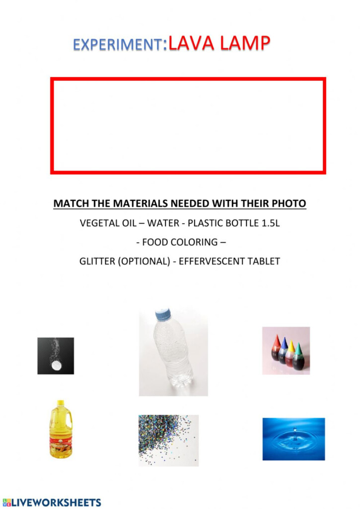 Lava Lamp Experiment Worksheet