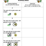 Making predictions plants