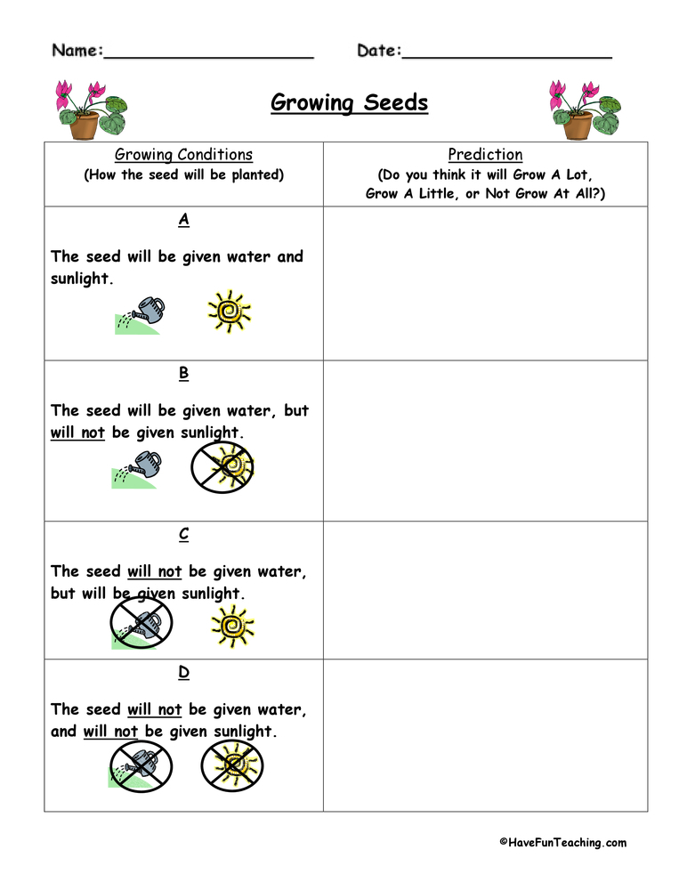 Making predictions plants