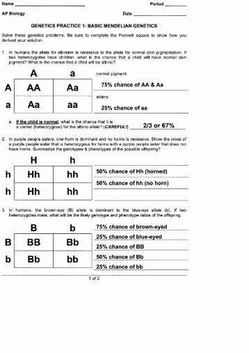 Mendelian Genetics Worksheet Answer Key Fresh Genetics Worksheet 