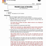 Mendelian Genetics Worksheet Answer Key Fresh Mendel S Laws Of Heredity
