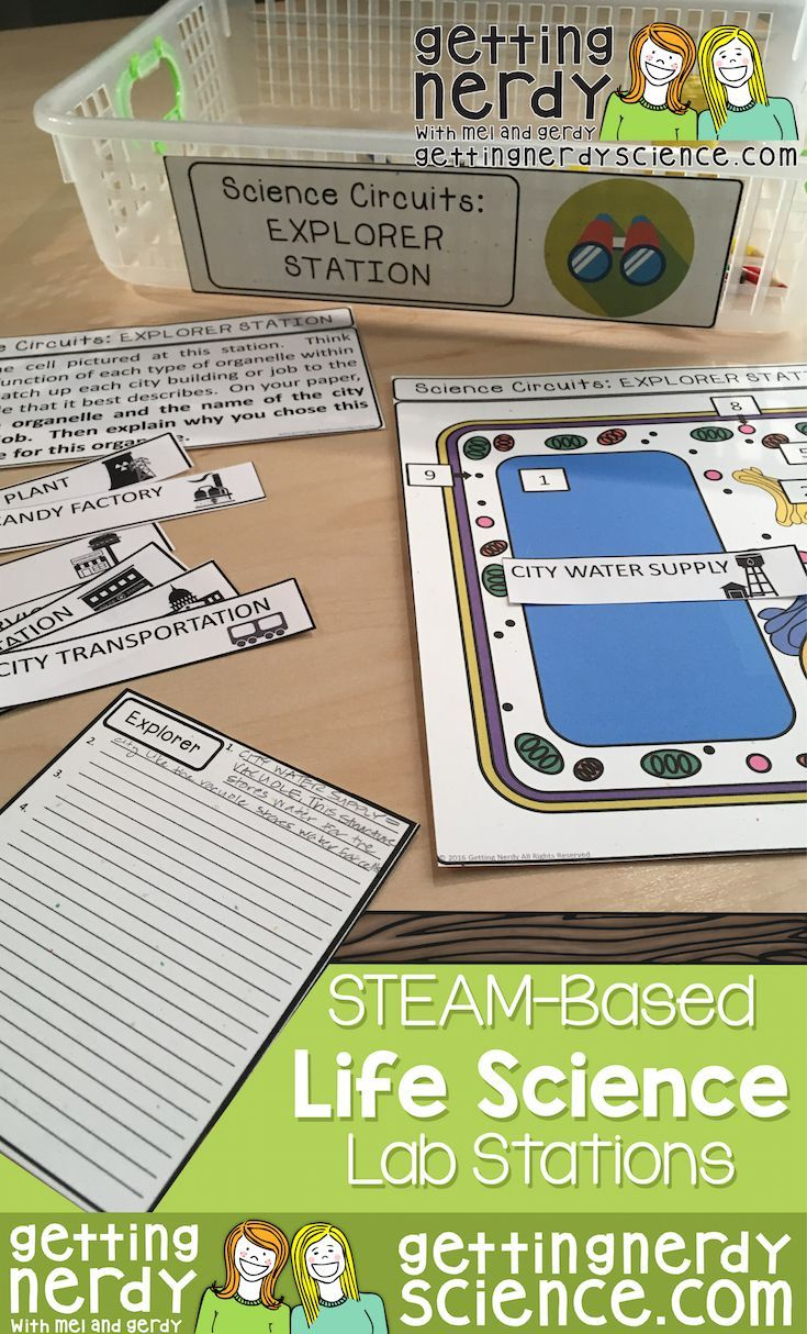 Next Generation Science Source Worksheets Answer Key Buyergreat