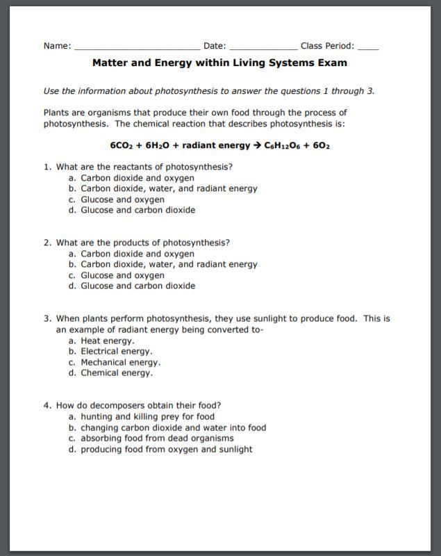 October Sky Questions Worksheets Answers The Facts Show Resume Sample 