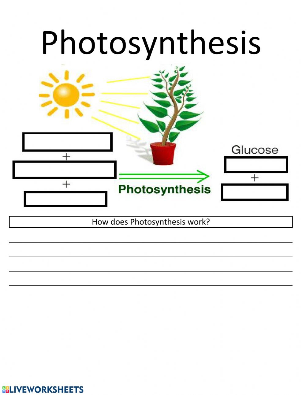 natural-science-grade-7-worksheets-pdf-scienceworksheets
