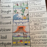 Pin On 2nd Grade Science