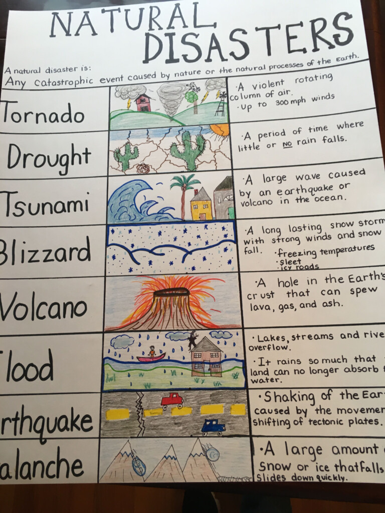 Pin On 2nd Grade Science