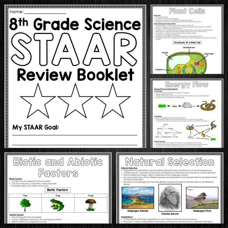 Pin On Education science