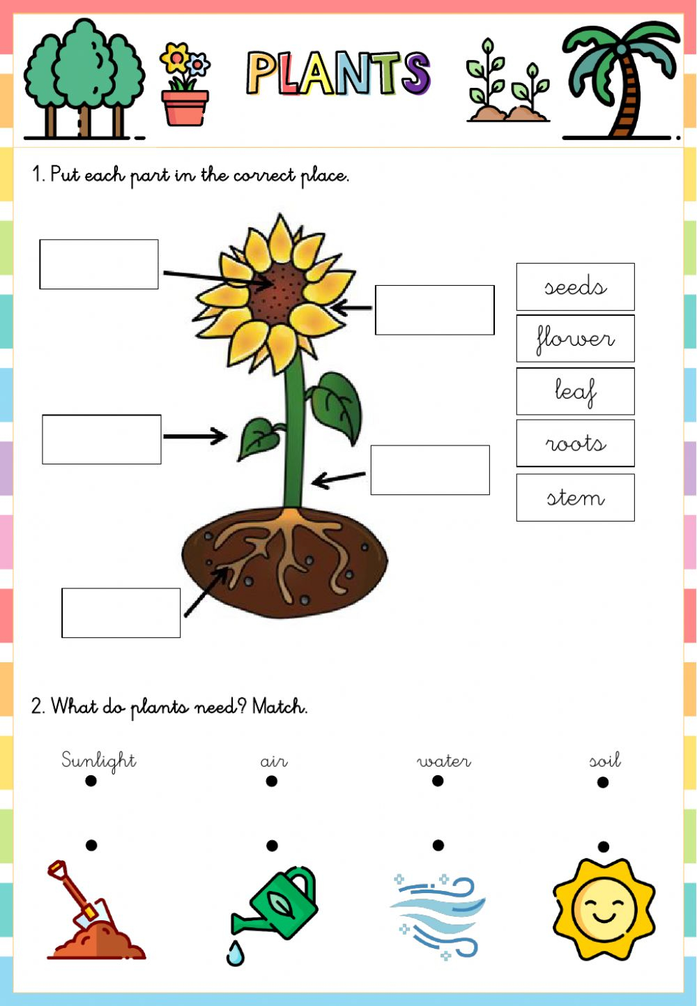 Plants Activity For 1 Primaria