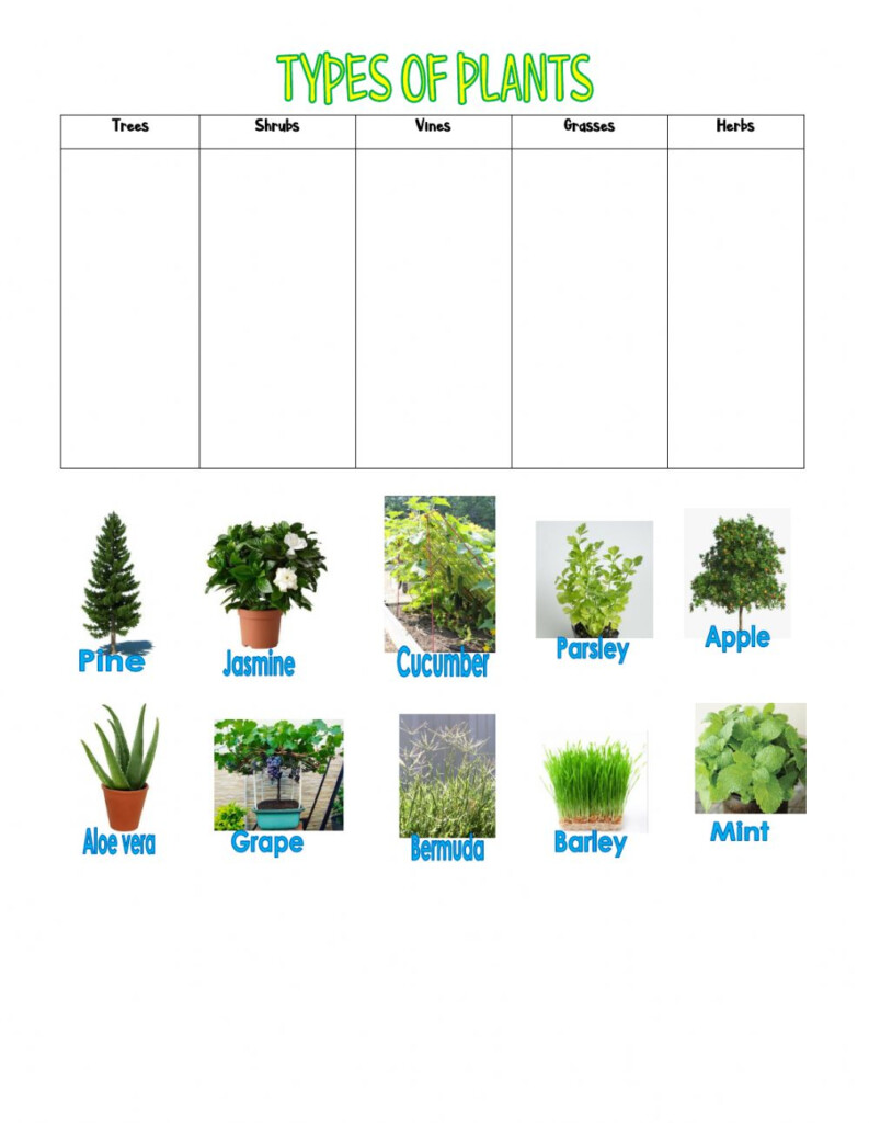 Plants Online Worksheet For Grade 4