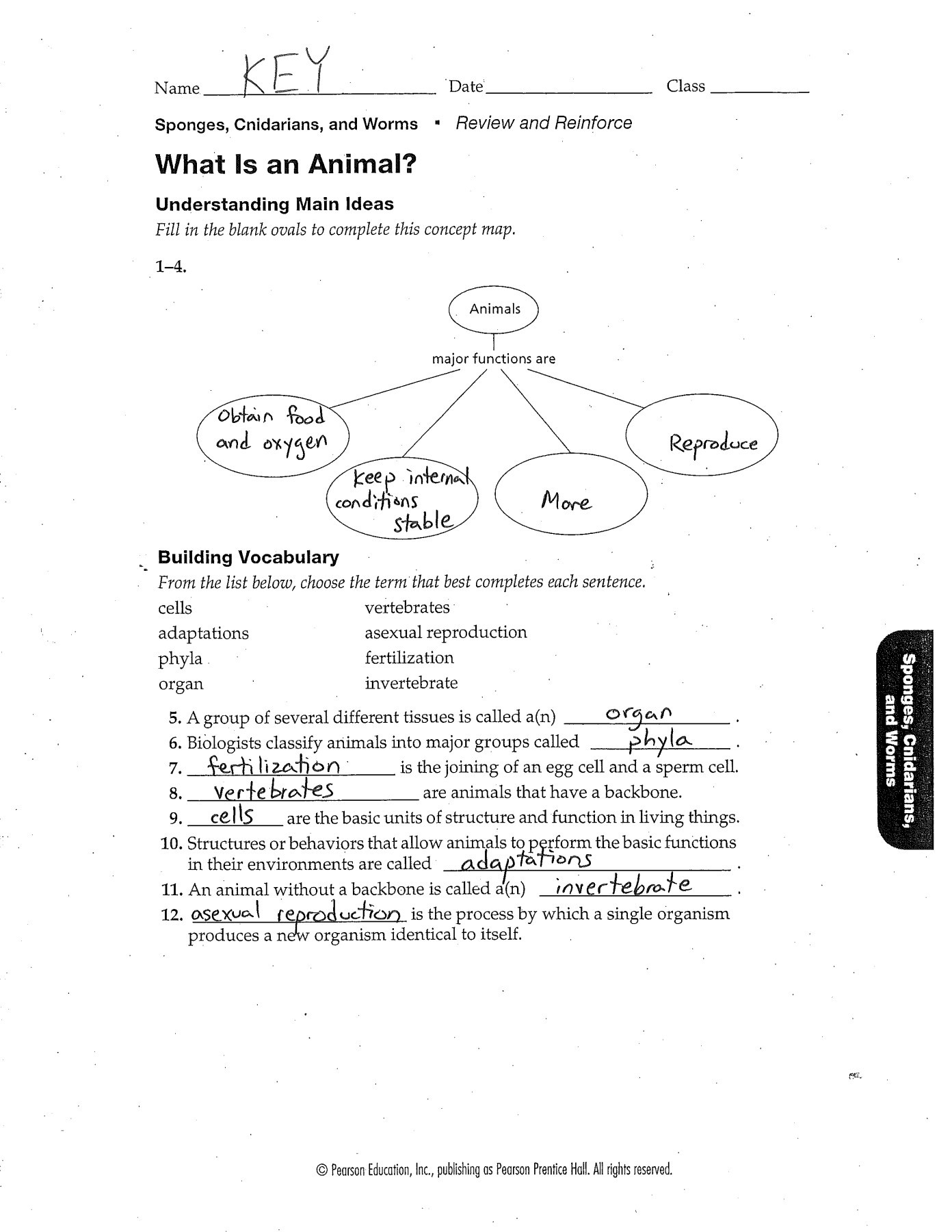 Prentice Hall Inc Science Worksheet Answers