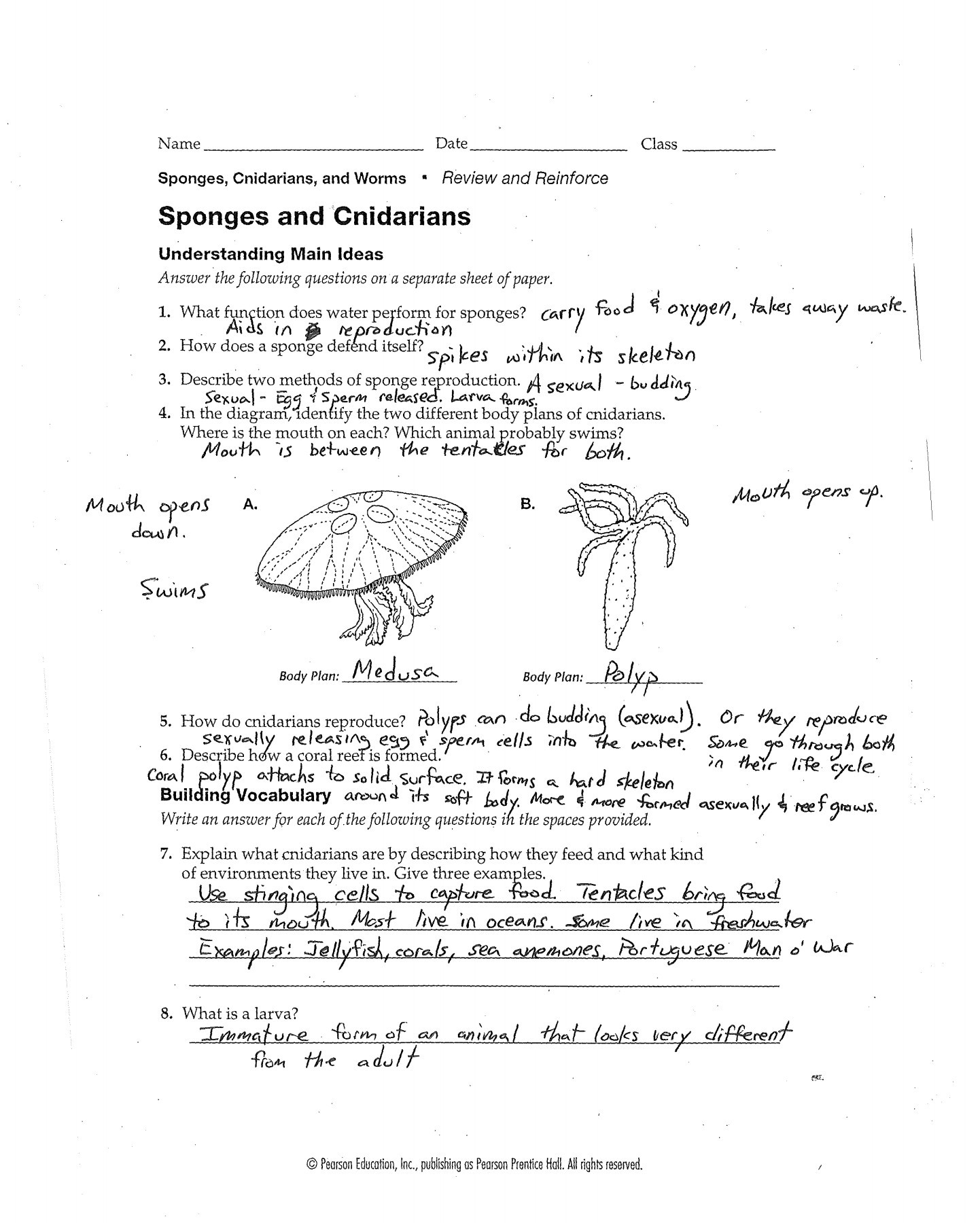 prentice-hall-inc-science-worksheet-answers-scienceworksheets