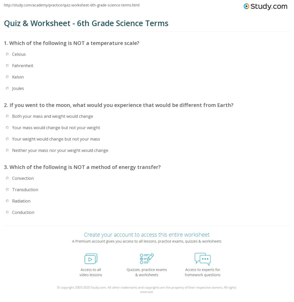 Quiz Worksheet 6th Grade Science Terms Study