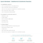 Quiz Worksheet Endothermic Exothermic Reactions Study