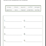 Rainforest Worksheets For 1st 3rd Graders Mamas Learning Corner