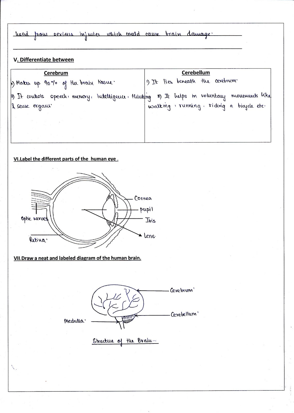 Free Grade 5 Science Worksheets - Scienceworksheets.net