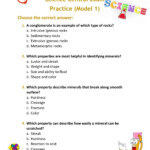 Science Grade 5 Term 3 Practice Exam Interactive Worksheet