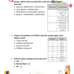 Science Grade 5 Term 3 Practice Exam Worksheet
