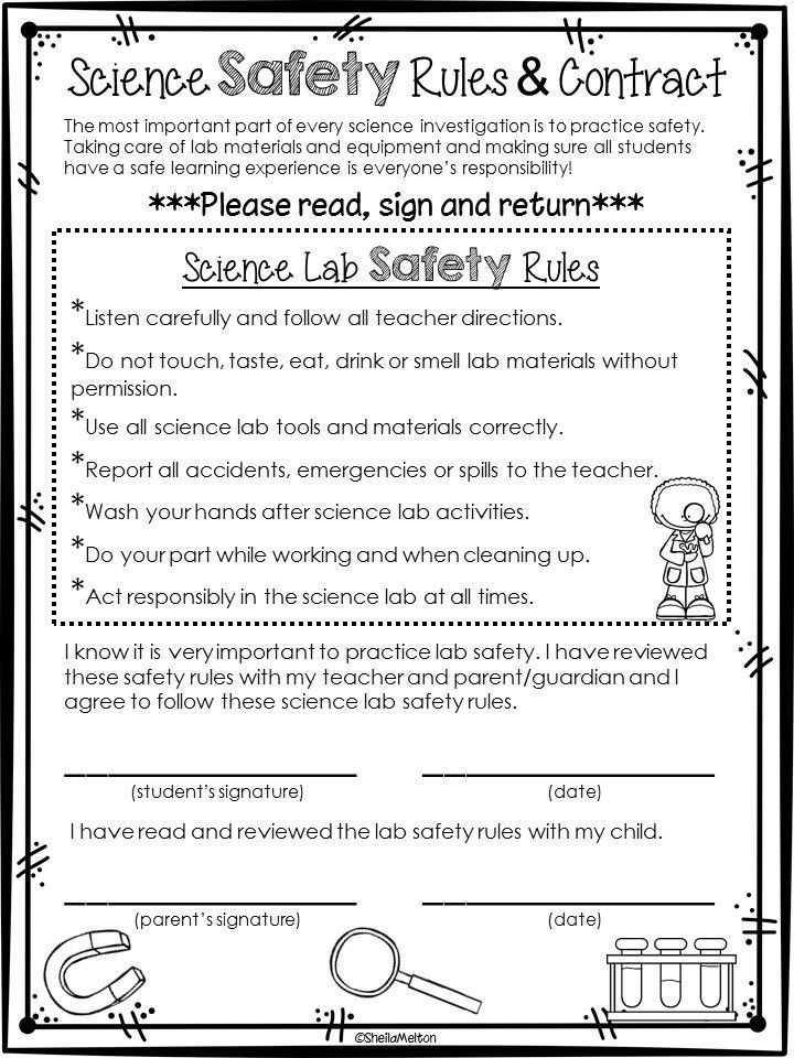 Science Lab Safety Contract FREEBIE Science Lab Safety Science