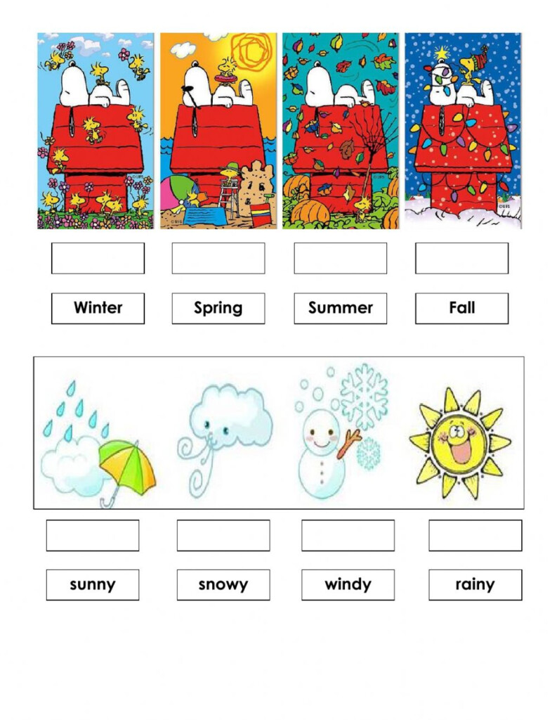 Science Second Grade Worksheet