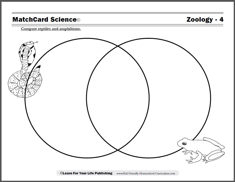 Science Worksheets