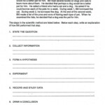 Scientific Method Worksheet Elementary