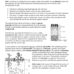 Soil Formation Worksheet