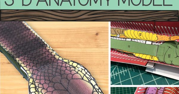 Student Exploration Evolution Mutation And Selection Answer Key Riz Books