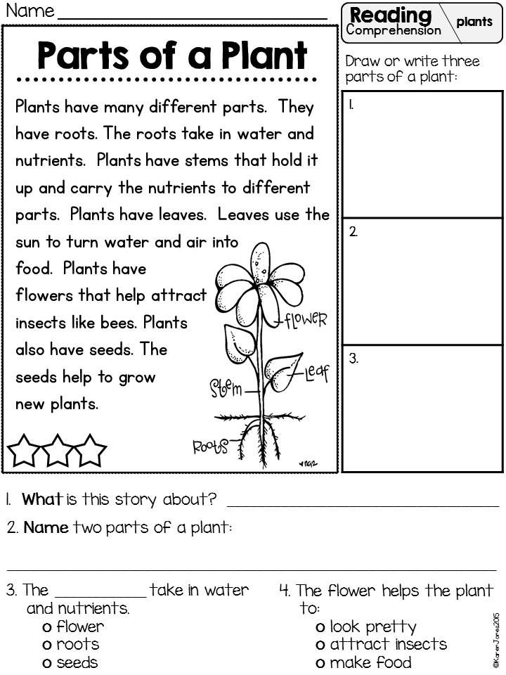 Teach Child How To Read First Grade Science Worksheets For Grade 2 Plants