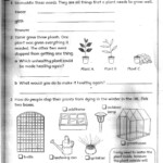 The City School Grade 3 Science Reinforcement Worksheets