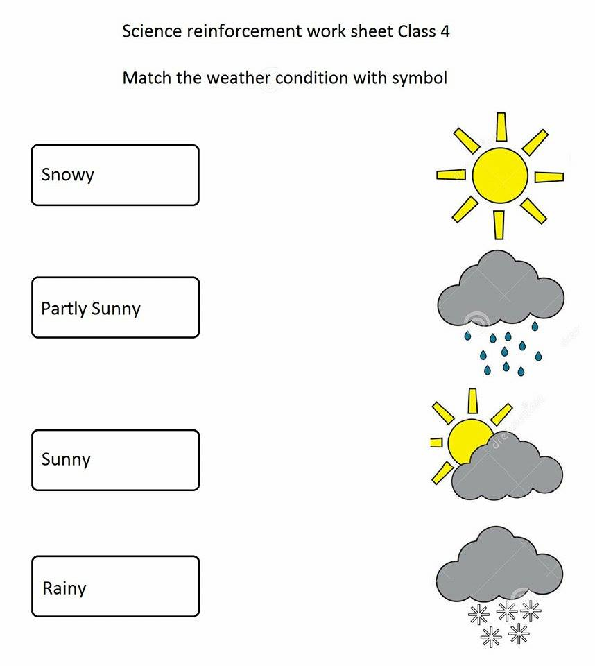 The City School Grade 4 Science Reinforcement Worksheet
