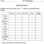 The City School Grade 4 Science Reinforcement Worksheets