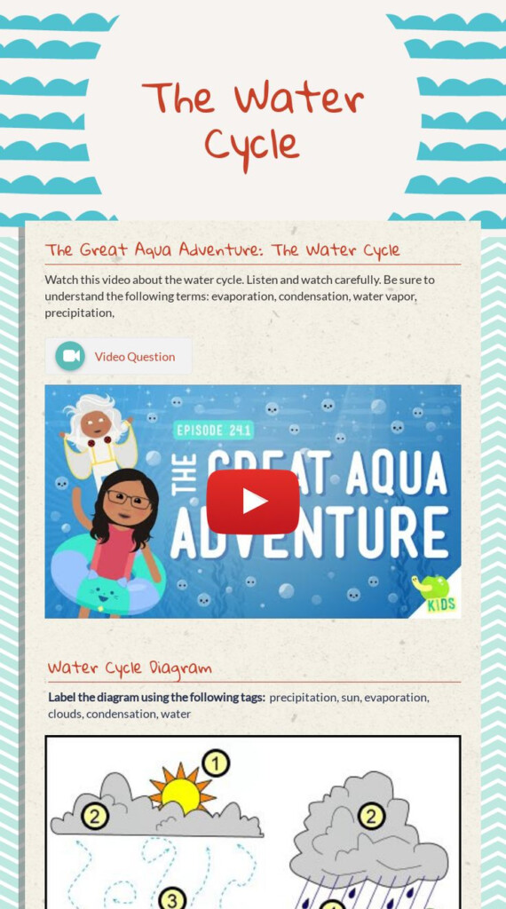 The Water Cycle 3rd Grade Science Water Cycle Biology Worksheet 