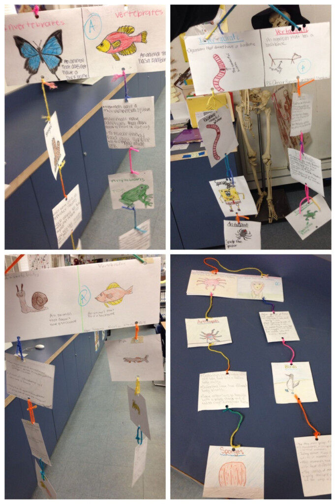Vertebrates And Invertebrates Homeschool Life Science Homeschool Science