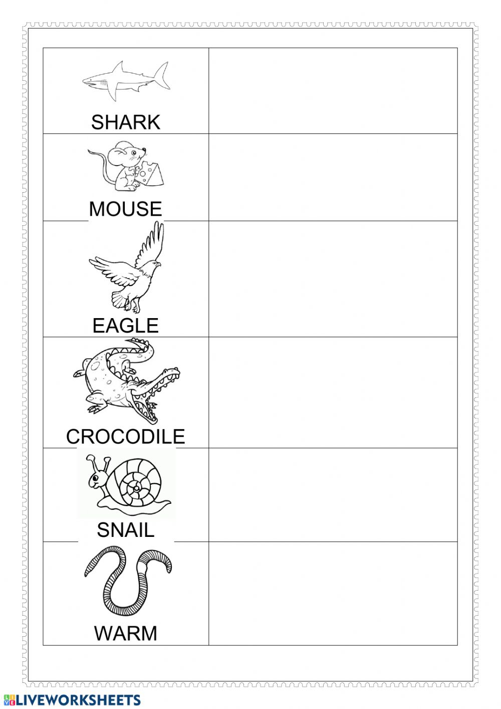 Vertebrates invertebrates Worksheet