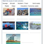 Water Pollution Interactive Worksheet