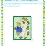 What Does It A Do Plant Cell Worksheet 6th Grade Biology SoD