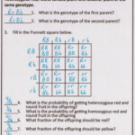 Worksheet Dihybrid Cross Worksheet Answers Worksheet Fun Worksheet