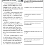 11 Animal Adaptations Worksheet Background Suplemento mineral milagroso