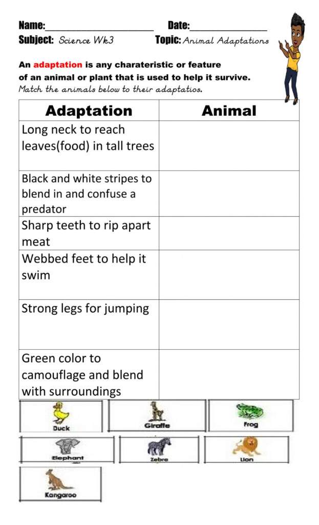 11 Animal Adaptations Worksheet Background Suplemento mineral milagroso