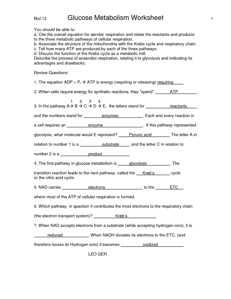 15 Chapter 9 Cellular Respiration Worksheet Worksheeto