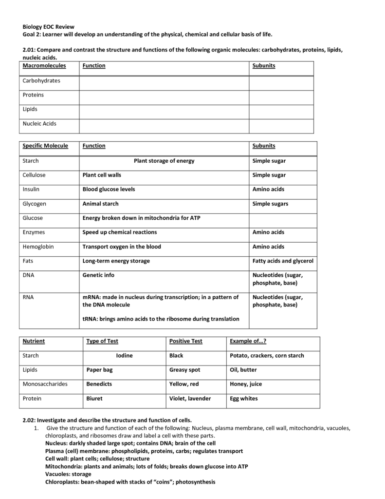 18 Molecules Of Life Worksheet Worksheeto