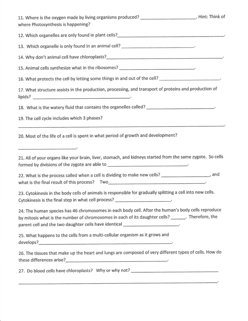 19 Cells Worksheets Grade 7 Worksheeto
