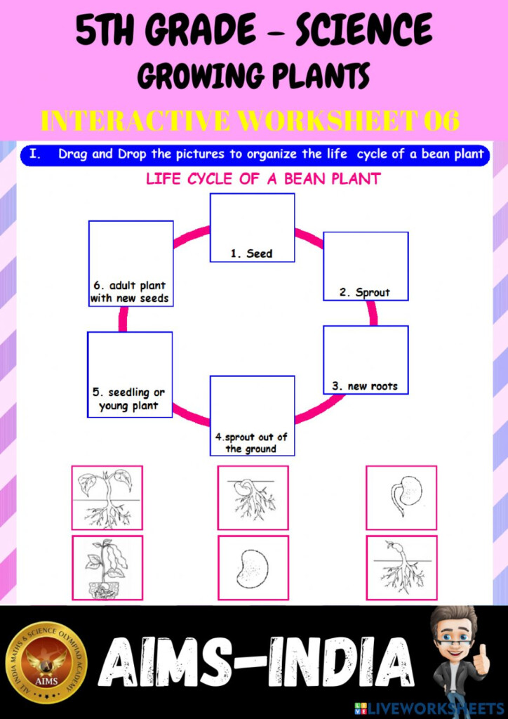5TH GRADE SCIENCE GROWING PLANTS INTERACTIVE WORKSHEET 06 AIMS 