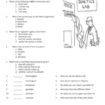 7th Grade Genetics Test