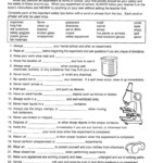 8 7Th Grade Science Energy Review Worksheet Free Science Worksheets