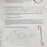 Accelerate Learning Worksheet Answers Free Download Qstion co